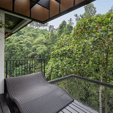 Zenubud מראה חיצוני תמונה